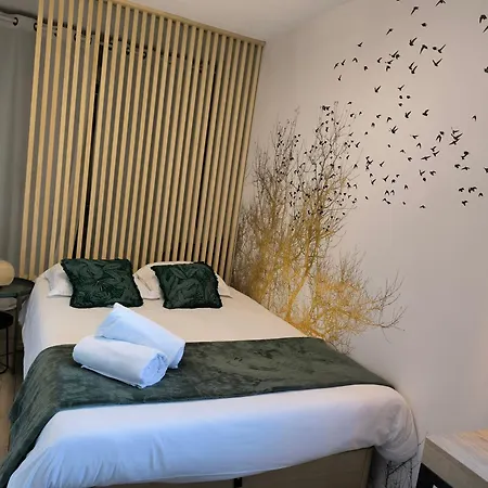 Apartament T2 Vue Parking Gratuit *